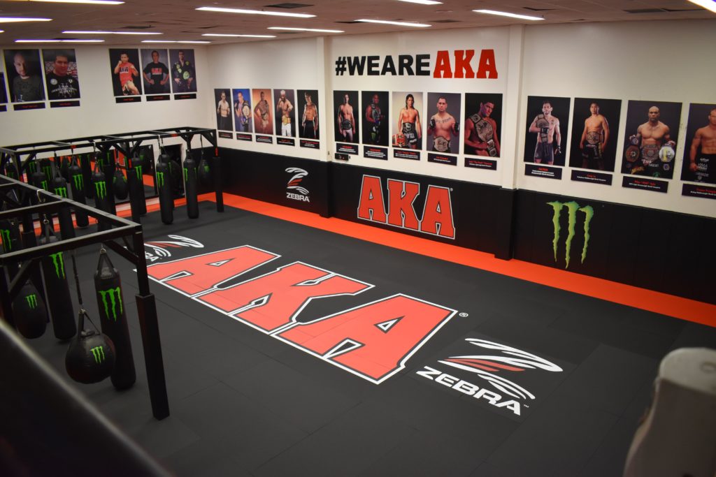 Zebra Tatami Series MMA / JiuJitsu Grappling Mats ZEBRA Athletics