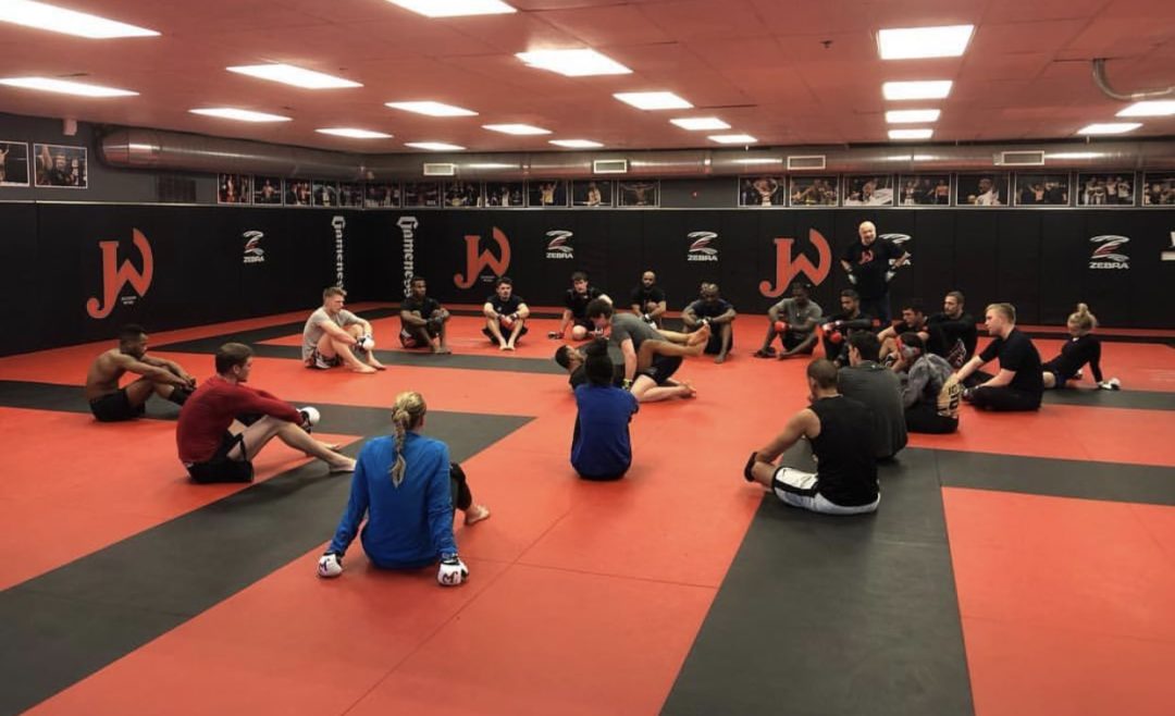 Zebra Tatami Series MMA / JiuJitsu Grappling Mats ZEBRA Athletics