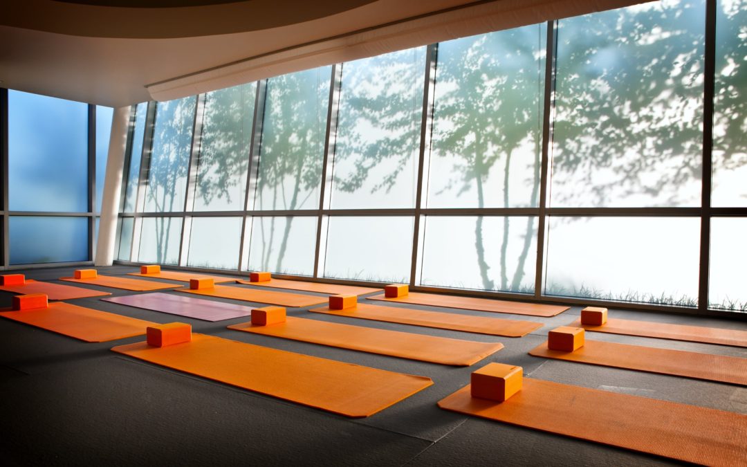 Quick Guide to Zebra Yoga Tiles. What Facility Owners Should Know.