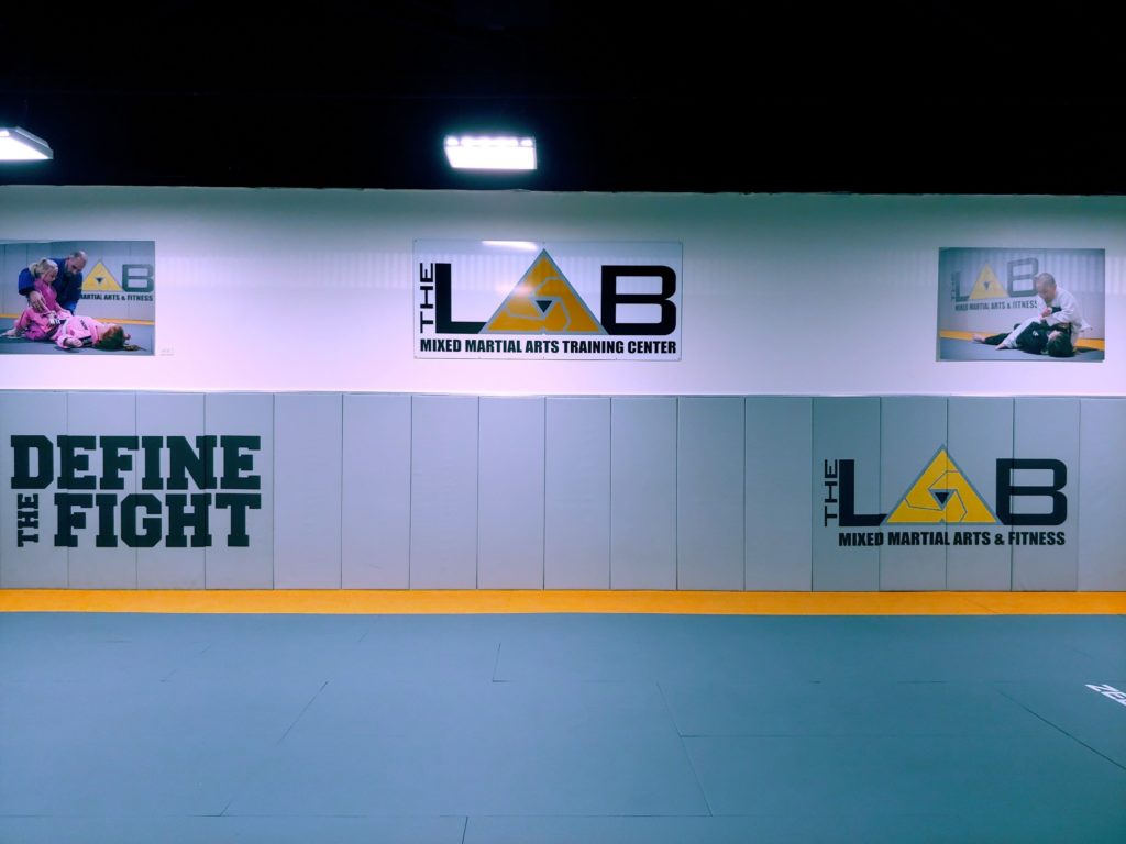 ZEBRA Wall Pads Standard Gym Wall Padding ZEBRA Athletics Europe