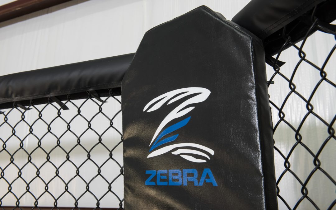Zebra Athletics Acquired by BSW