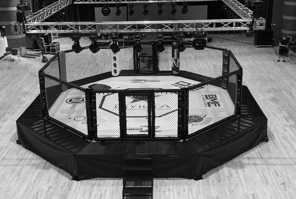 How Rings & Cages Complement any Gym