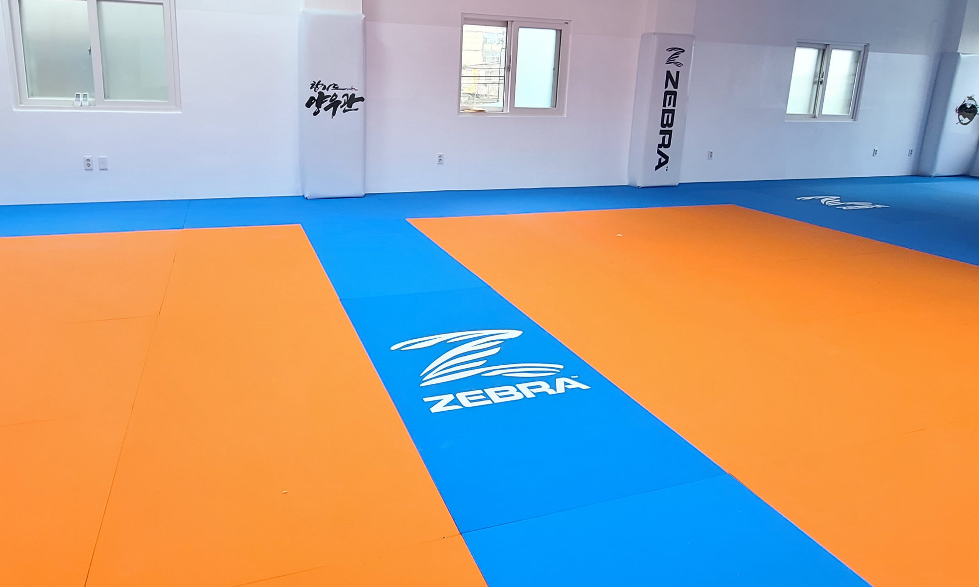 Home Roll-Out Mat Tape - Zebra Athletics